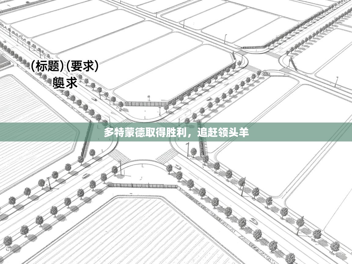 多特蒙德取得胜利，追赶领头羊