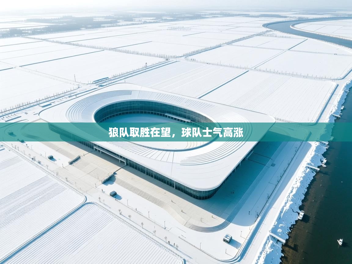 狼队取胜在望，球队士气高涨  第1张