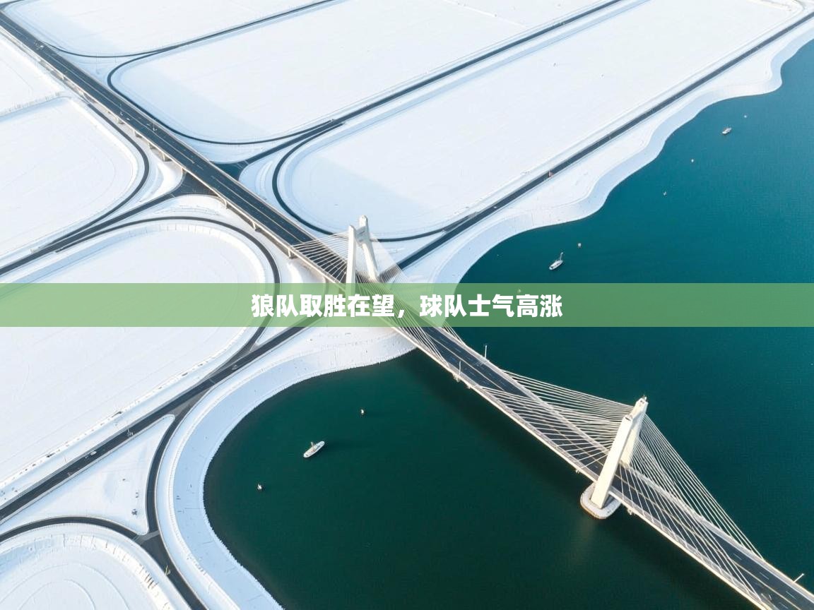 狼队取胜在望，球队士气高涨  第2张