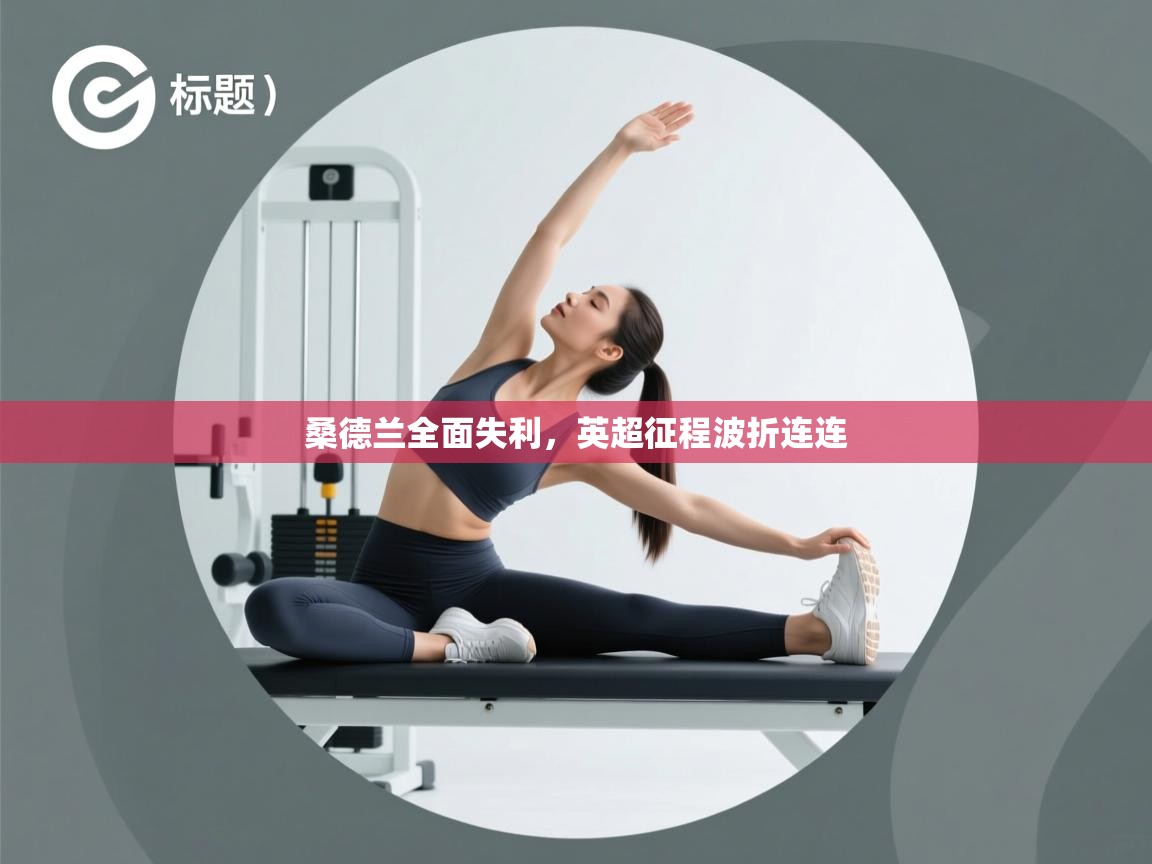 桑德兰全面失利，英超征程波折连连  第2张