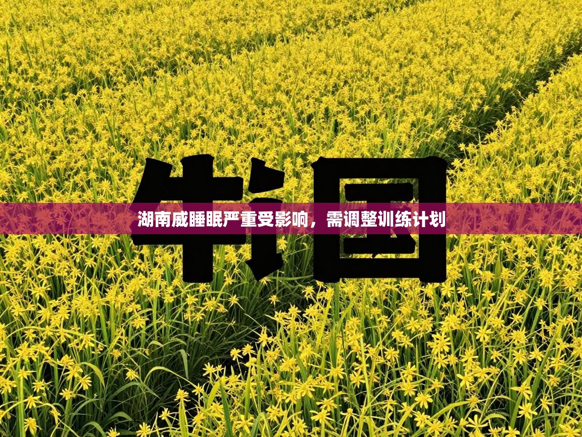 湖南威睡眠严重受影响，需调整训练计划  第2张