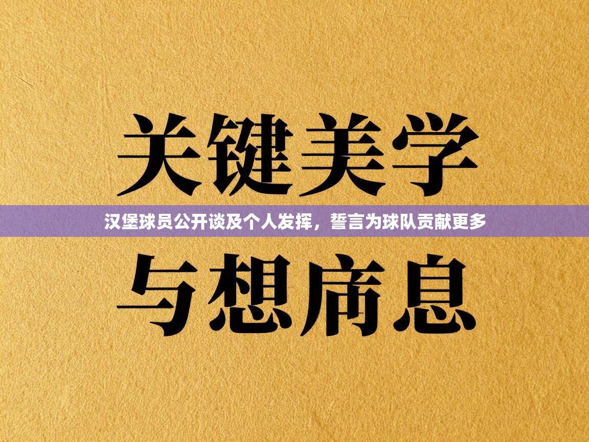 汉堡球员公开谈及个人发挥，誓言为球队贡献更多  第2张